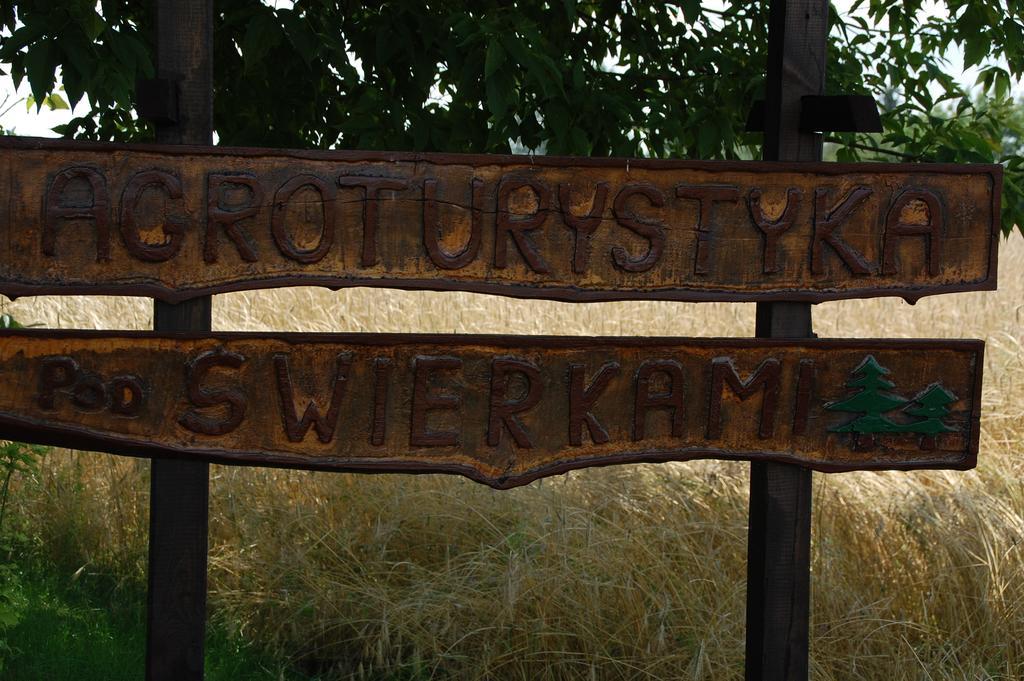 Agroturystyka Pod Swierkami Nadrybie Buitenkant foto