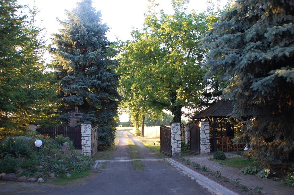Agroturystyka Pod Swierkami Nadrybie Buitenkant foto