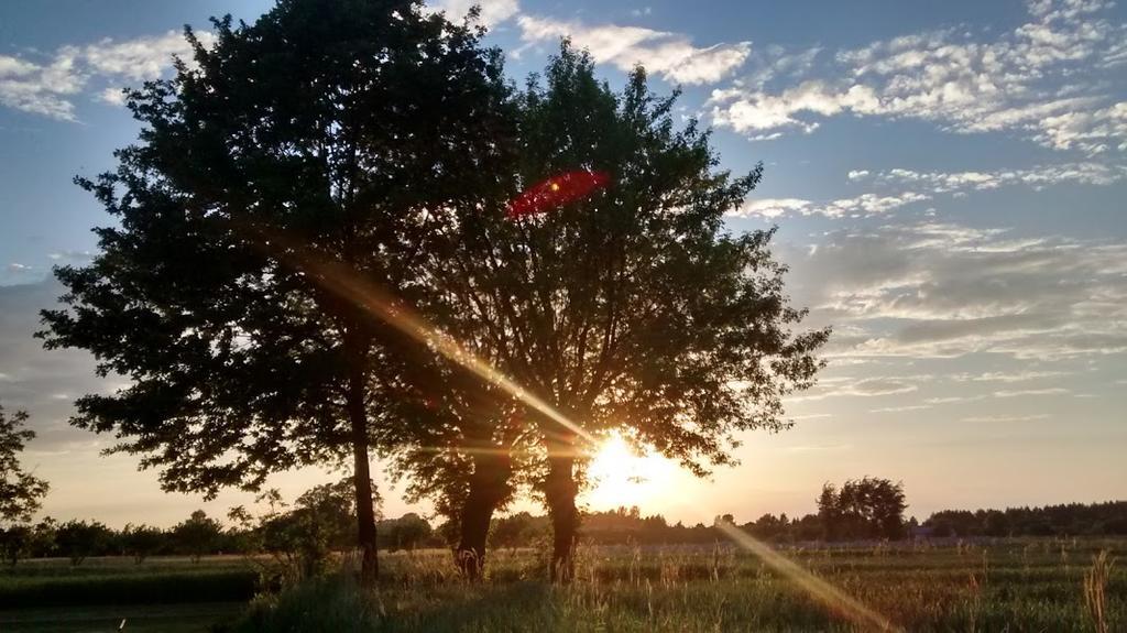 Agroturystyka Pod Swierkami Nadrybie Buitenkant foto