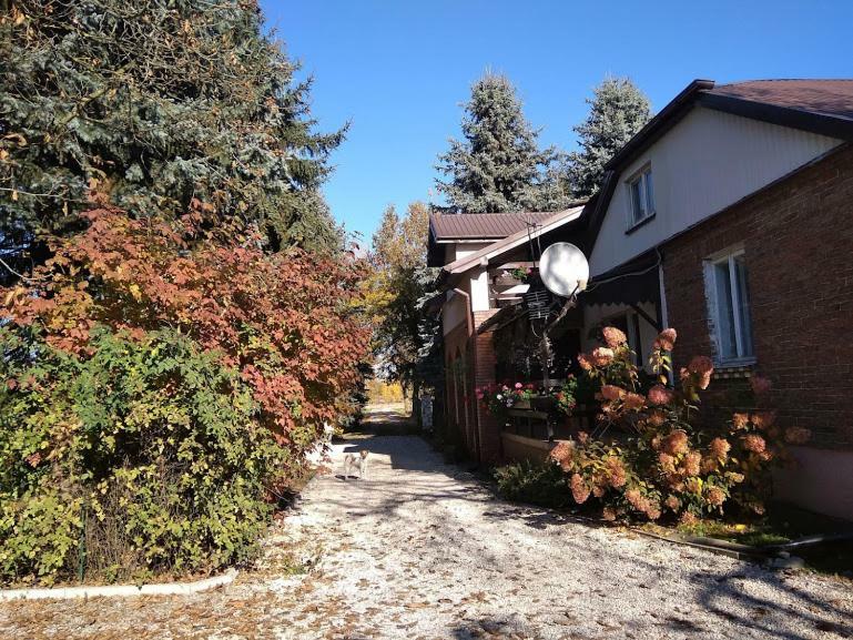 Agroturystyka Pod Swierkami Nadrybie Buitenkant foto