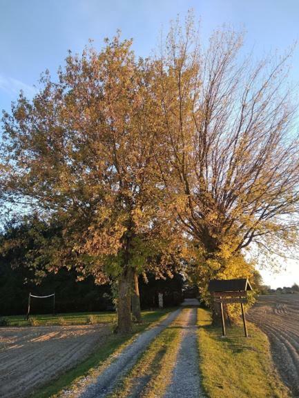 Agroturystyka Pod Swierkami Nadrybie Buitenkant foto